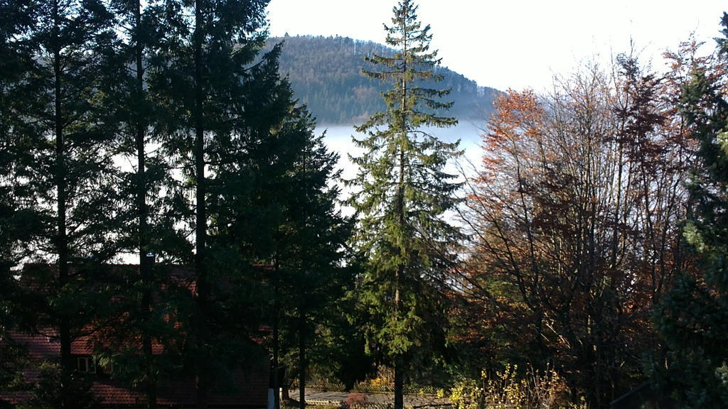 Pension-Stadt-Baden Sasbachwalden Ngoại thất bức ảnh